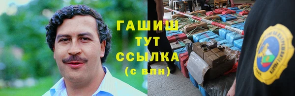 гидра Горнозаводск