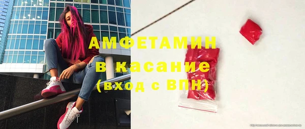 ПСИЛОЦИБИНОВЫЕ ГРИБЫ Горно-Алтайск
