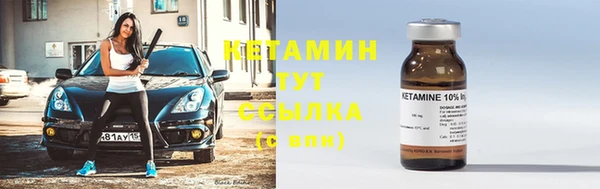 ПСИЛОЦИБИНОВЫЕ ГРИБЫ Горно-Алтайск