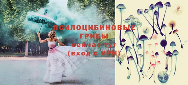 соль ск Гусиноозёрск