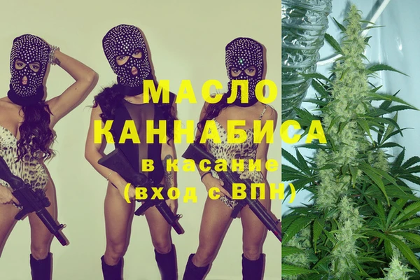 гидра Горнозаводск
