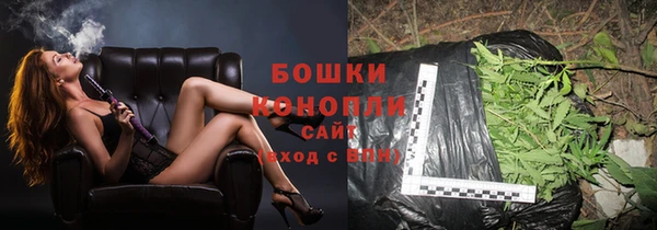 ALPHA PVP Гусев